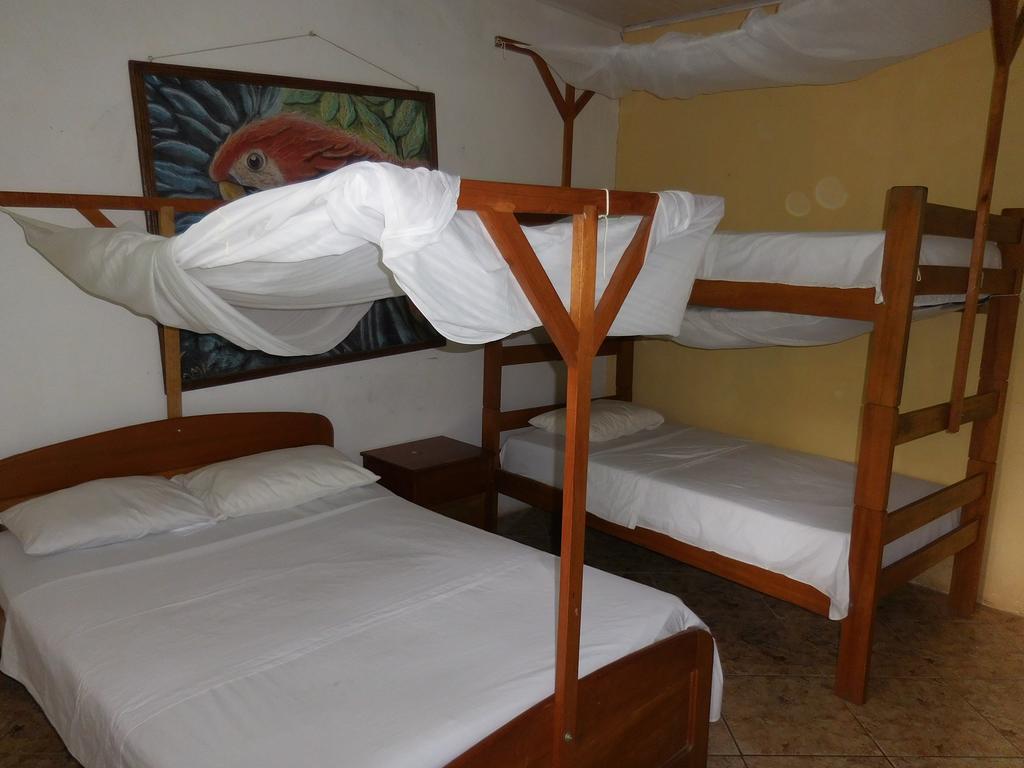 Tambopata Hostel Puerto Maldonado Exterior photo